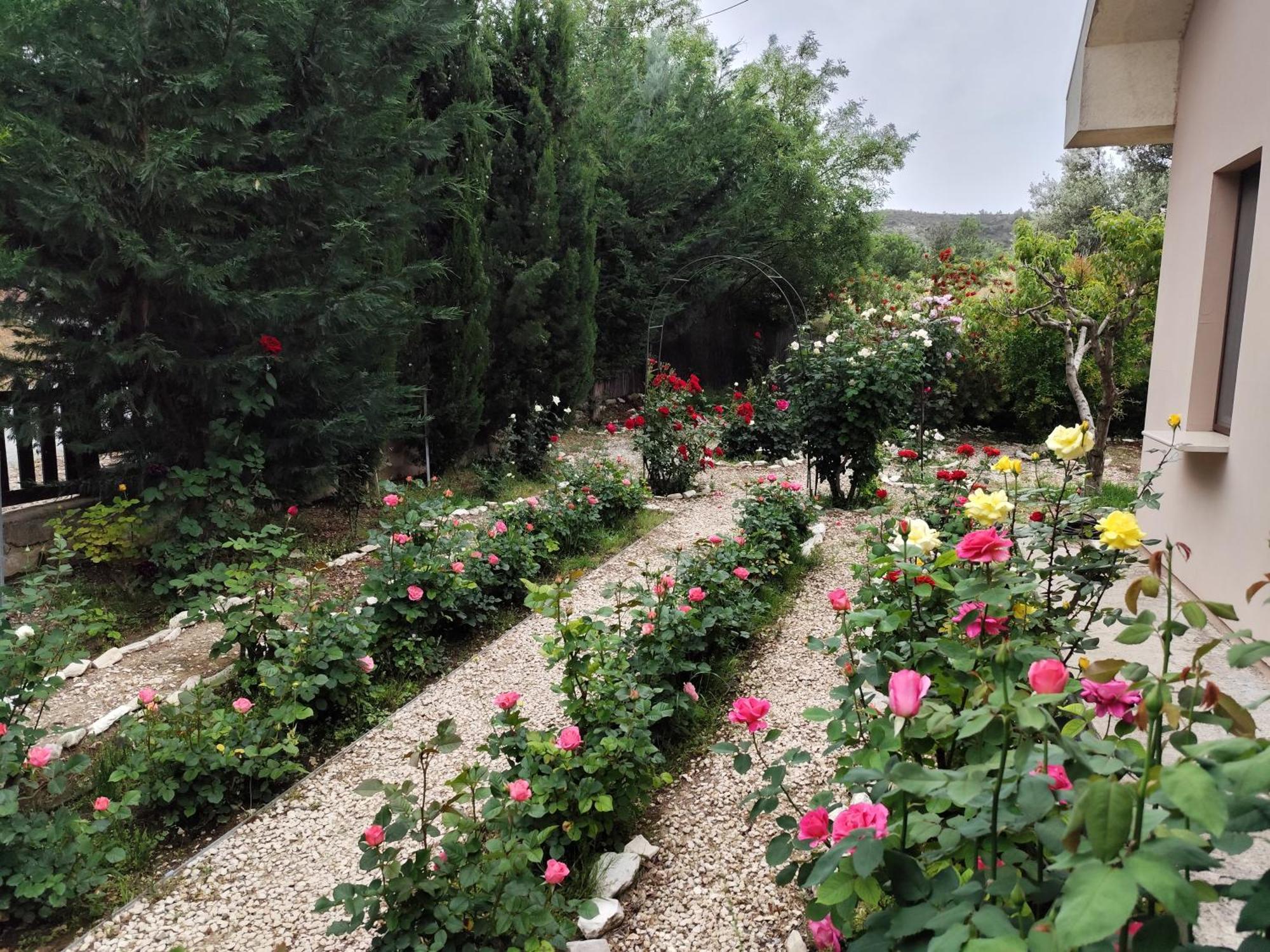 Roses Villa Trimiklini 외부 사진