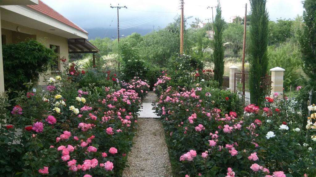 Roses Villa Trimiklini 외부 사진